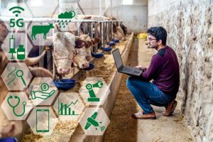 Animal Welfare and Environmental Sustainability