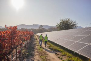 Future of Agriculture