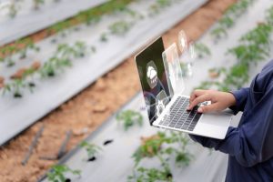 Precision Agriculture